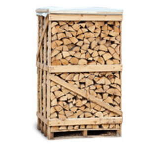 Märg hall lepp, 30 cm / 2 lr